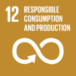 TheGlobalGoals Icons Color Goal 12