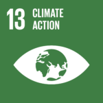 TheGlobalGoals Icons Color Goal 13